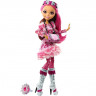 Главные персонажи из коллекции "Заколдованная зима" Ever After High Mattel DKR62